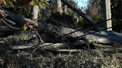 The Aftermath of Hurricane Sandy Stock Footage 12529798
