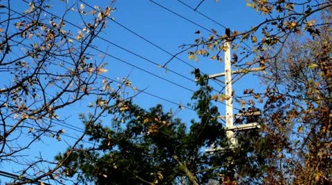 The Aftermath of Hurricane Sandy Stock Footage 12529822