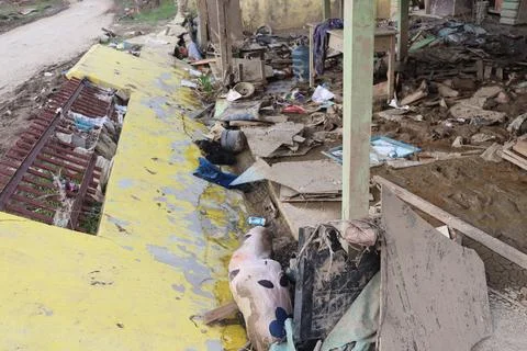 Aftermath of a Natural Disaster with Mud covered Ruins Foto stock