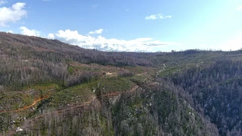 Aftermath Of North Complex Fire At Feather Falls Trailhead 0106 Stock Footage 284778238