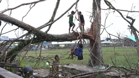Aftermath of the Super Typhoon Rai / Odette in the Philippines Stock Footage 229679434