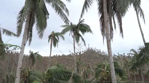 Aftermath of the Super Typhoon Rai / Odette in the Philippines Stock Footage 229680144