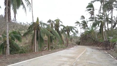 Aftermath of the Super Typhoon Rai / Odette in the Philippines Stock Footage 229680151