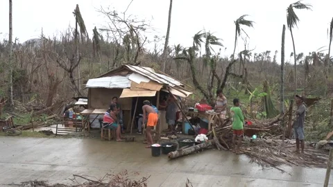 Aftermath of the Super Typhoon Rai / Odette in the Philippines Stock Footage 229680274