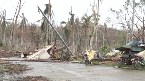 Aftermath of the Super Typhoon Rai / Odette in the Philippines Stock Footage 229680418