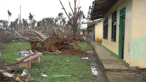 Aftermath of the Super Typhoon Rai / Odette in the Philippines Stock Footage 229680564