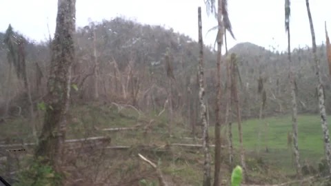 Aftermath of the Super Typhoon Rai / Odette in the Philippines Stock Footage 229680628