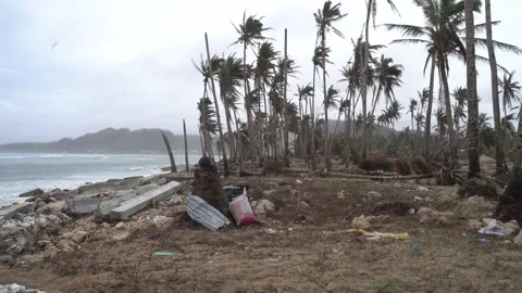 Aftermath of the Super Typhoon Rai / Odette in the Philippines Stock Footage 229680977