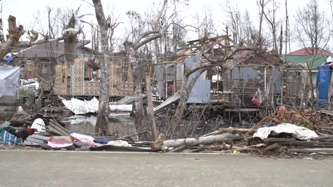 Aftermath of the Super Typhoon Rai or Odette on Siargao Island, Philippines Stock Footage 229681232