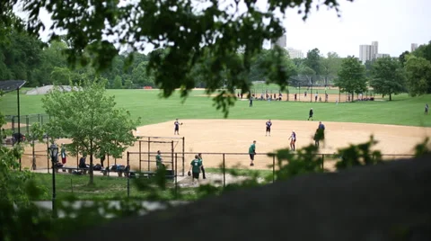 Afternoon Baseball Practice Stock-Footage 39755480