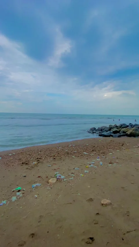 Afternoon beach 스톡 동영상 167469420