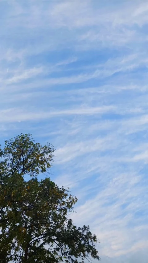 Afternoon Blue Sky, Vertical Stock-Footage 281161334