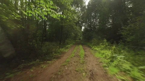 An afternoon flight over a forest road towards a clearing Video stock 63657280