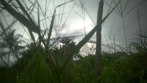 Afternoon Stock Footage 169350120