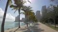 Afternoon in Miami, Florida 4k or 4k+ Resolution