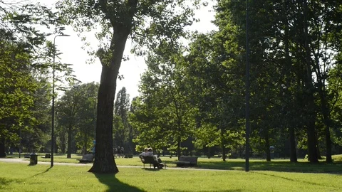 An afternoon at the park Stock Footage 91754828