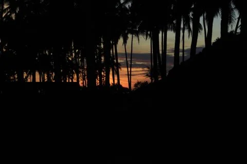 Afternoon Stock Photos