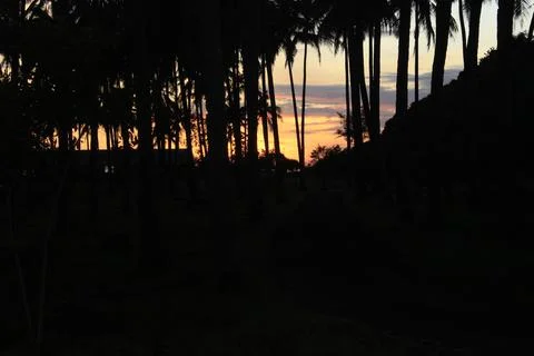 Afternoon Foto stock