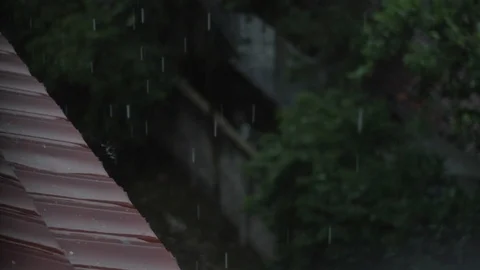 Afternoon Rain Stock Footage 107721879