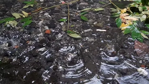 The Afternoon Rain Stock Footage 237157988