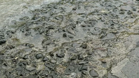 Afternoon rain Stock-Footage 331880424