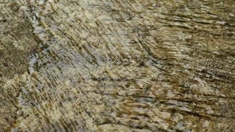 Afternoon rain Stock Footage 331884269