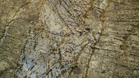 Afternoon rain Stock-Footage 331884290