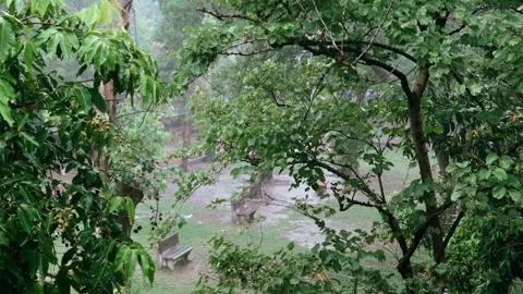 Afternoon Rain in a Quiet Park Stock Footage 339062092