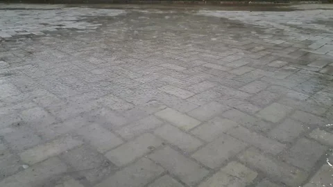 Afternoon rain in the yard Stock Footage 295736528