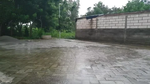 Afternoon rain in the yard Stock Footage 295736637