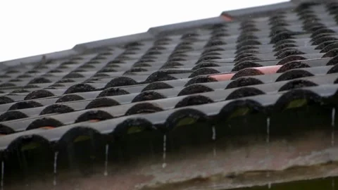 Afternoon Raining Stock Footage 270020881