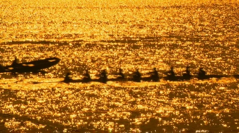 Afternoon rowing 스톡 동영상 610897