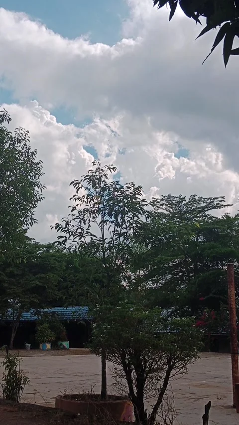 Afternoon sky Stock Footage 235441432