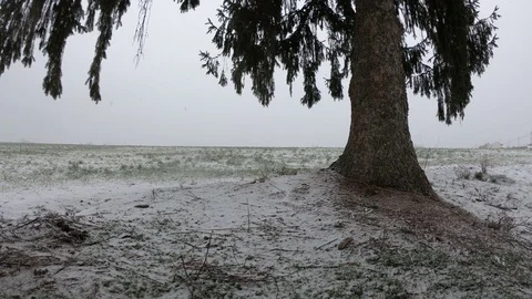 An afternoon snowfall in the countryside 動画素材 86401547