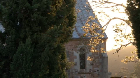 Afternoon Sun Vídeos de archivo 6007674