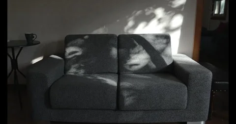 Afternoon sunlight filtered through the leaves, casting dappled shadows on .. 库存影片 334657664