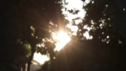 Afternoon sunlight 库存影片 209178127