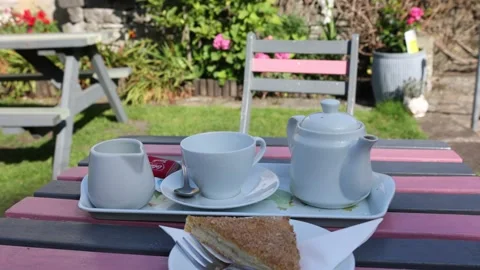 Afternoon tea with slice of cake with pot of tea cup and saucer in background Stock Footage 169453681