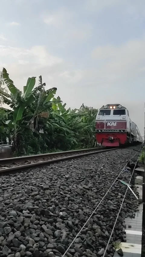 Afternoon train ride Stock Footage 219521072