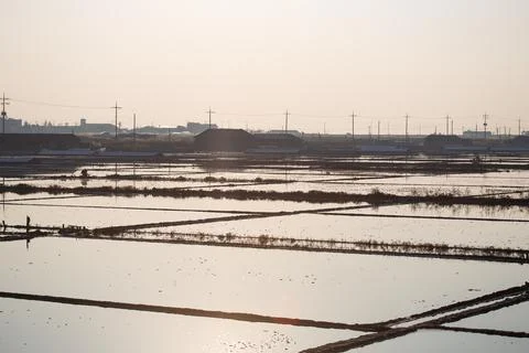 An afternoon view of the salt fields Stock Photos