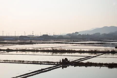 An afternoon view of the salt fields Stock Photos