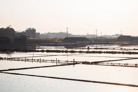 An afternoon view of the salt fields Foto stock