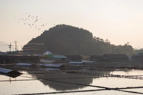 An afternoon view of the salt fields Foto stock