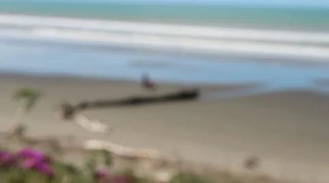 Afternoon Walk On The Beach - High Angle 스톡 동영상 12365351