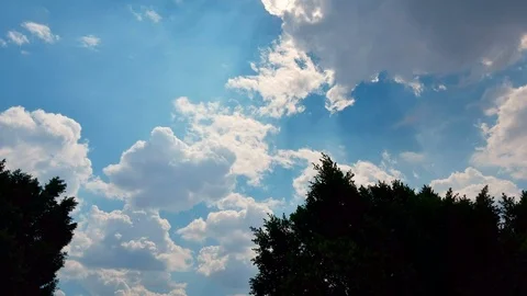 Afternoon Windy Summer.4K Stock Footage 103186839