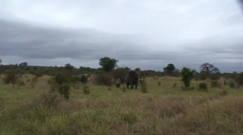 AG1007A 01002HD058 Видео 468005