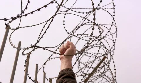 Against the background of barbed wire, a hand clenched into a fist. Stock Photos