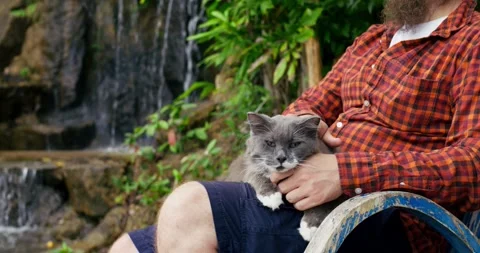 Against background of beautiful waterfall, cute cat sits harmoniously in arms of Stock Footage 256298426