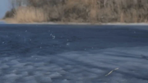 Against the background of blue ice, fluff flies, sunny spring day Stock Footage 124750826