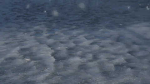 Against the background of blue ice, fluff flies, sunny spring day Stock Footage 124750867